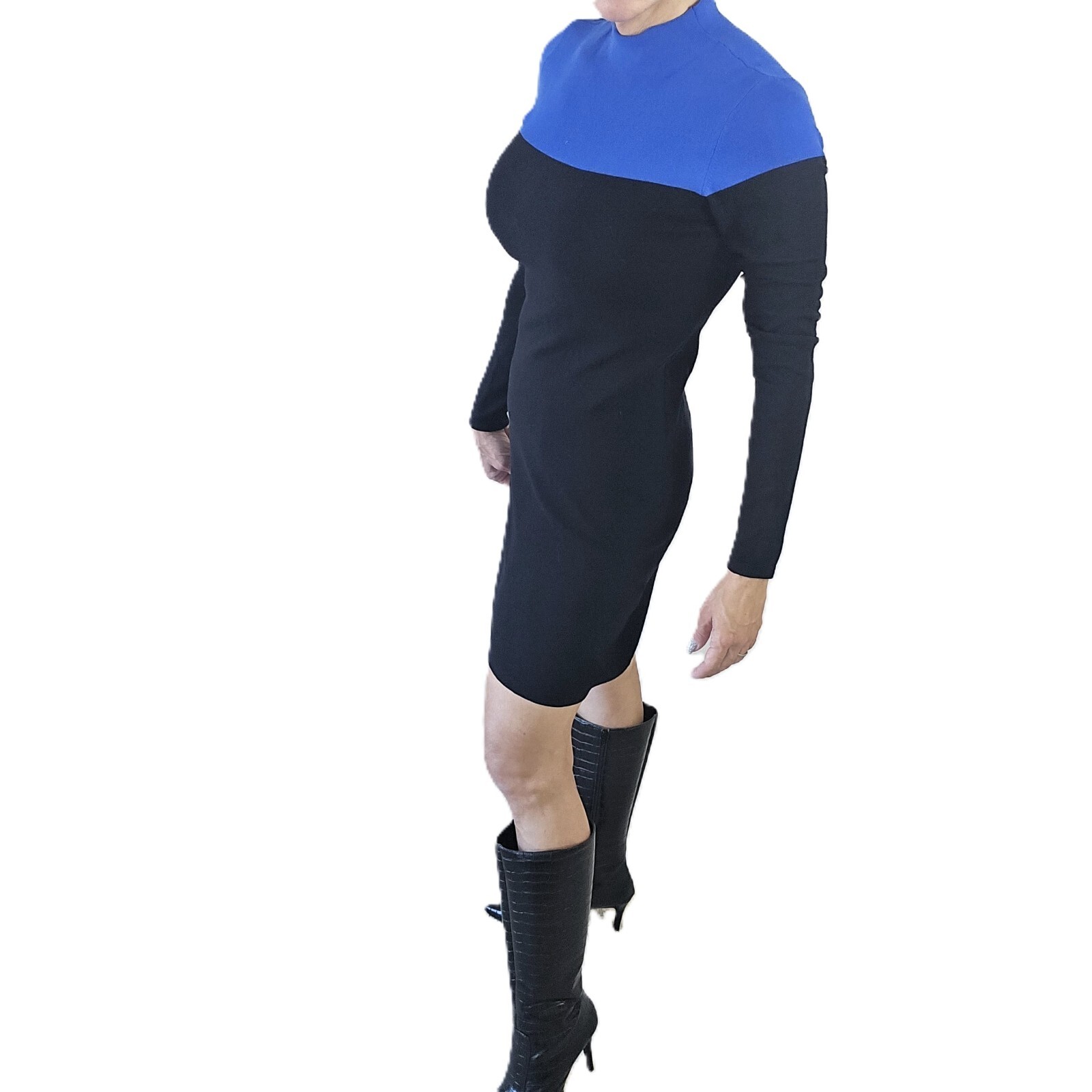 Ann Taylor Long Sleeve Dress, Size S – Black & Blue, Rayon Blend, Classic Fit